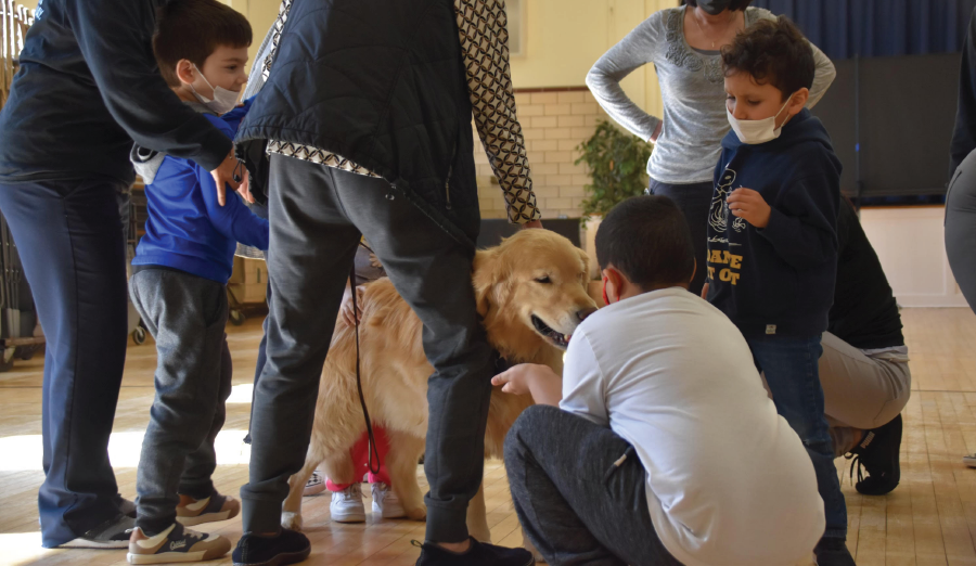  Students get a visit from a pet therapy dog.